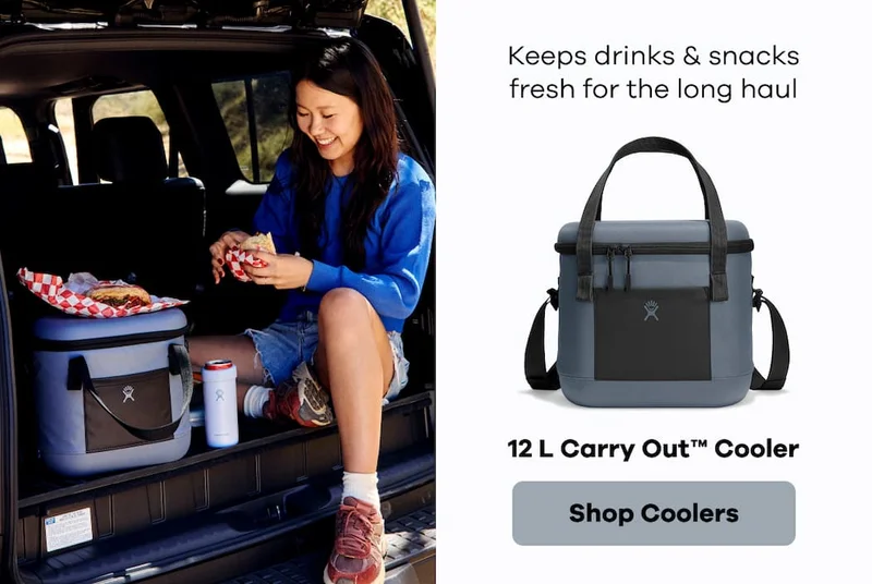 Keeps drinks & snacks fresh for the long haul. 12 L Carry Out™ Cooler. | Shop Coolers
