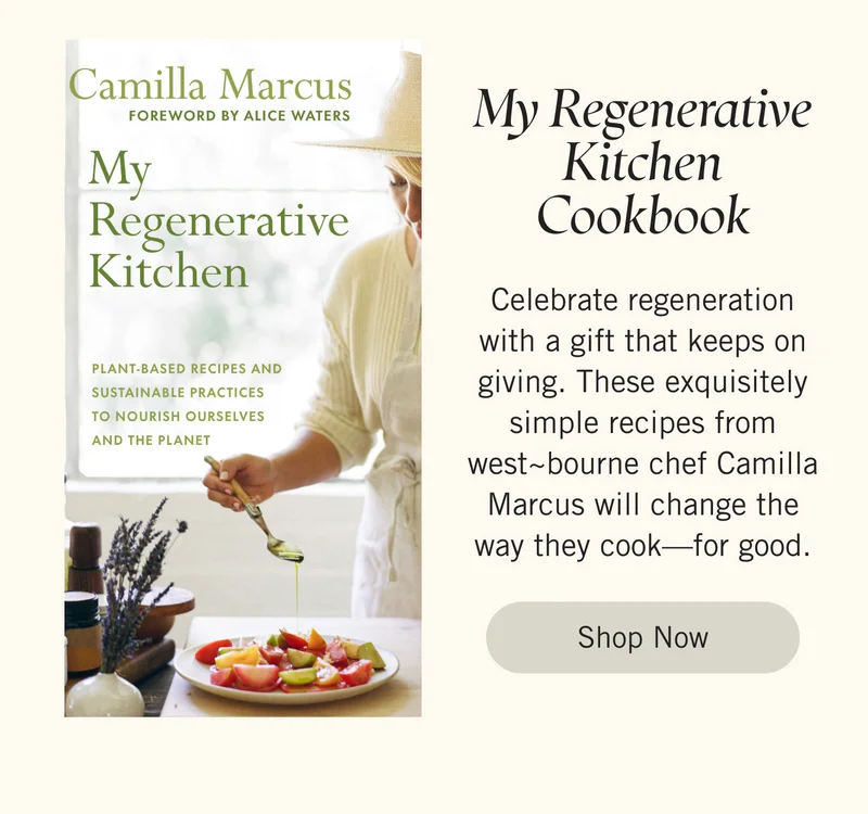 My Regenerative Kitchen Cookbook Celebrate regeneration with a gift that keeps on giving. These exquisitely simple recipes from west~bourne chef Camilla Marcus will change the way they cook—for good. Shop Now.