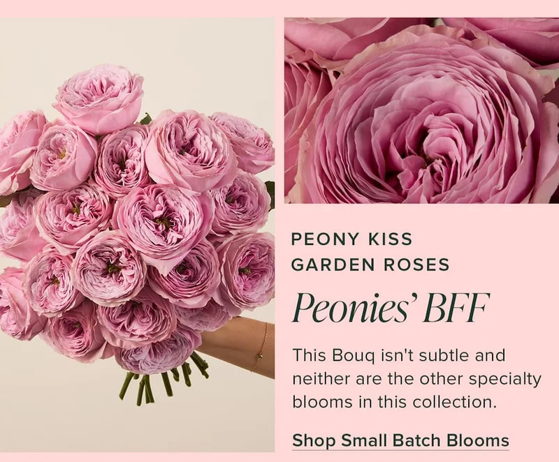 Peony Kiss Garden Roses: Peonies' BFF. This Bouq isn't subtle and neither are the other specialty blooms in this collection. Shop Small Batch Blooms.