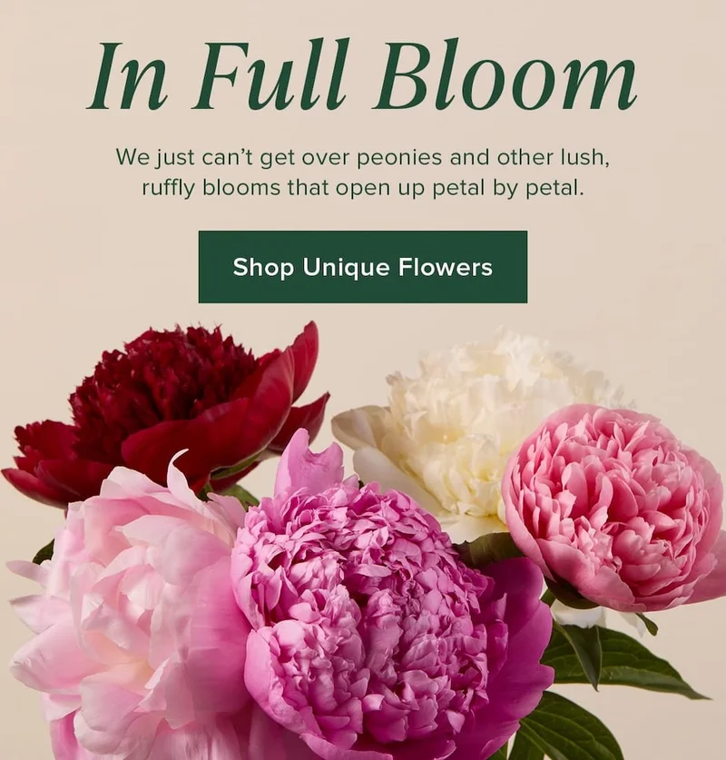In Full Bloom. We just can't get over peonies and other lush, ruffly blooms that open up petal by petal. Shop Unique Flowers.