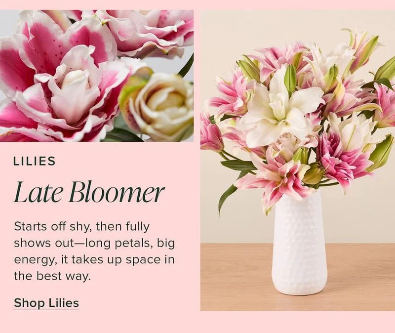 Lilies: Late Bloomer. Starts off shy, then fully shows out—long petals, big energy, it takes up space in the best way. Shop Lilies.