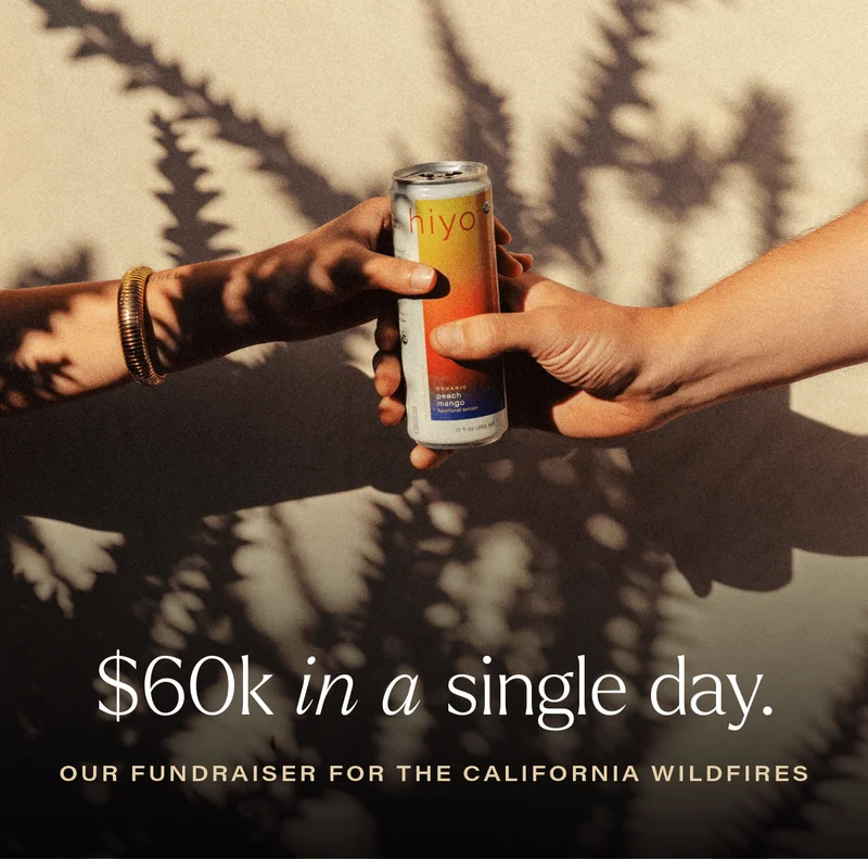 $60K IN A SINGLE DAY. our fundraiser for the california wildfires.
