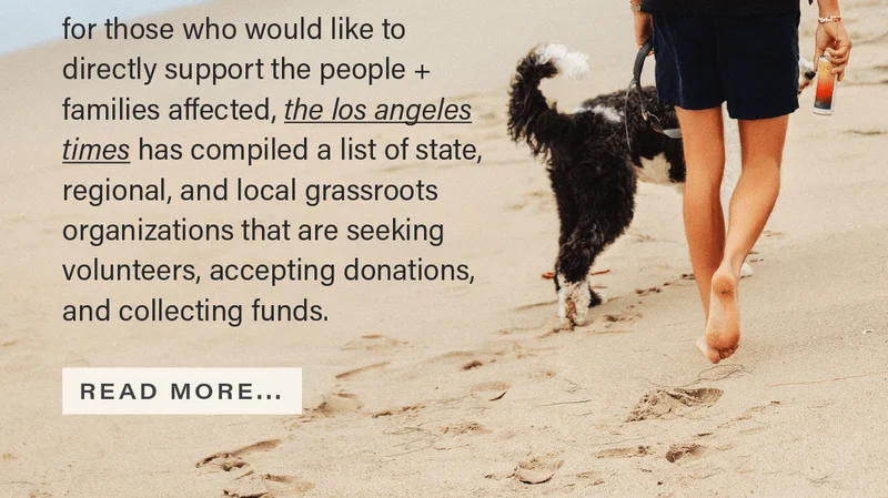 for those who would like to directly support the people + families affected, the los angeles times (link) has compiled a list of state, regional, and local grassroots organizations that are seeking volunteers, accepting donations, and collecting funds. [READ MORE...]