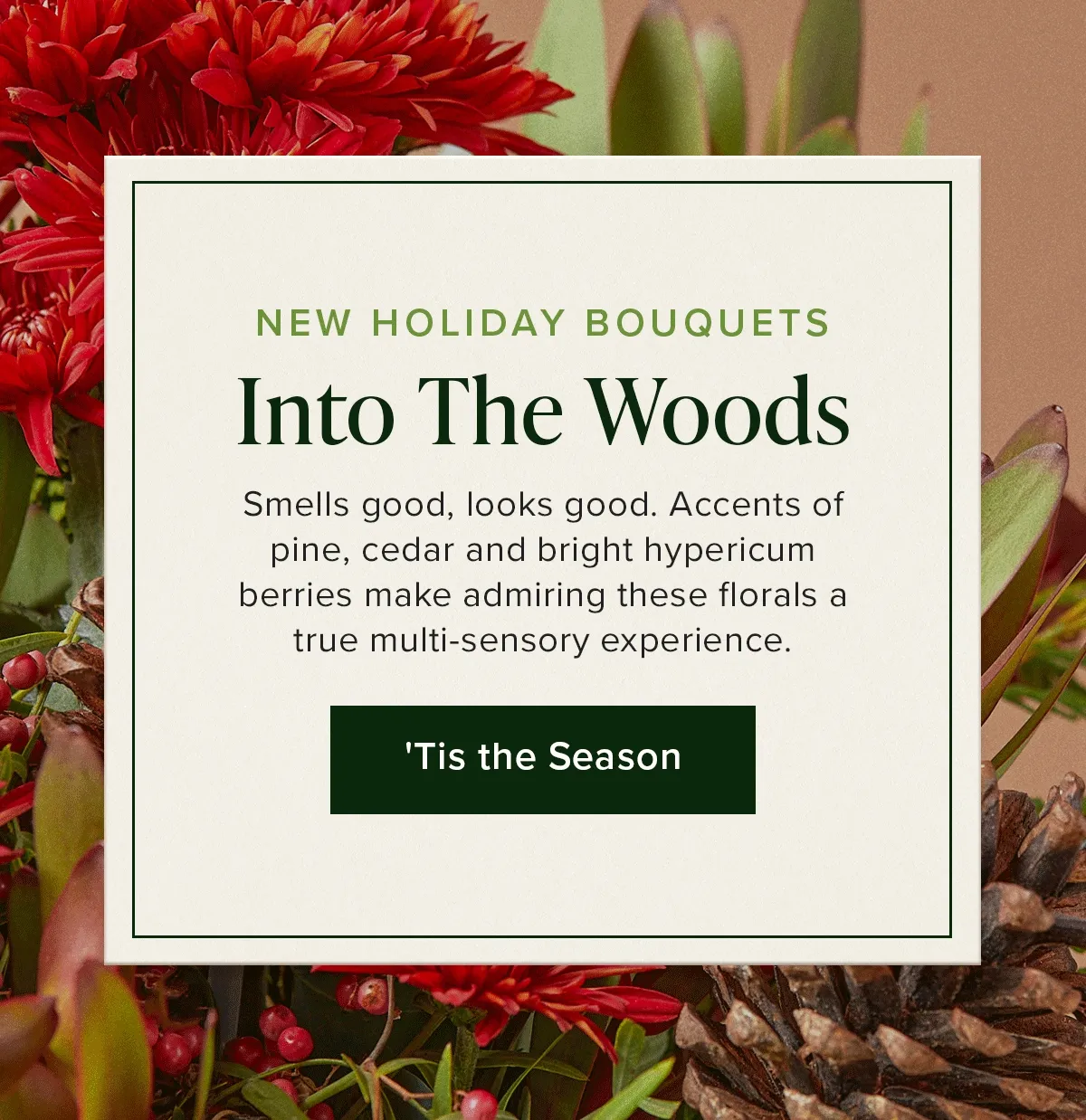New Holiday Bouquets: Into the Woods. Smells good, looks good. Accents of pine, cedar and bright hypericum berries made admiring these florals a true multi-sensory experience. 'Tis the Season
