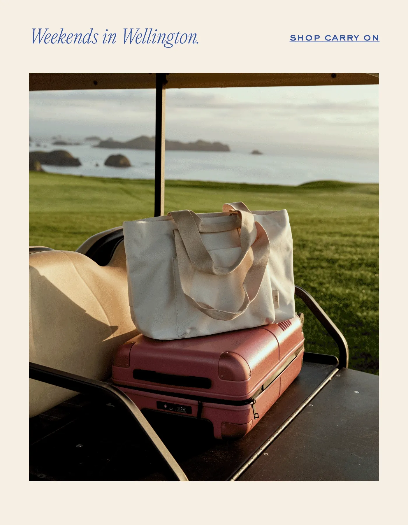 New Zealand landscapes. shop carry on