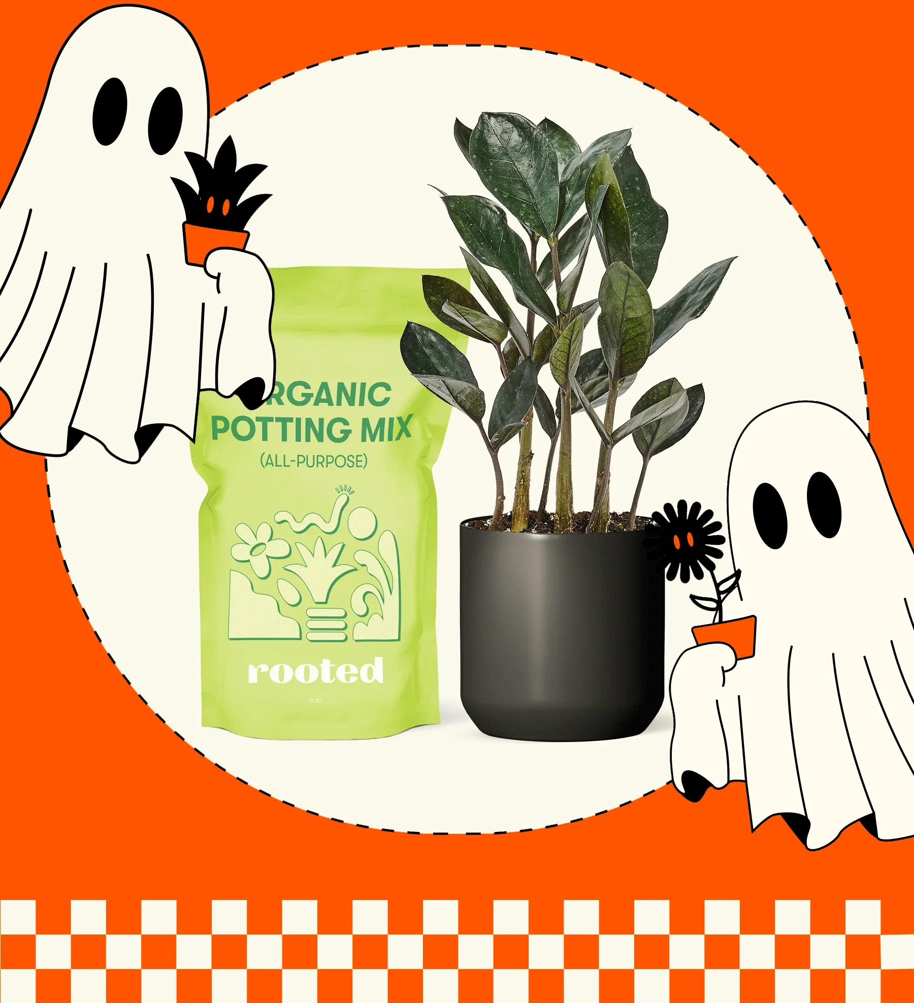 HAUNTED HOUSEPLANTS Tis’ the season for all things creepy. Meet the best plants to haunt your home  [SCARY GOOD PLANTS]
