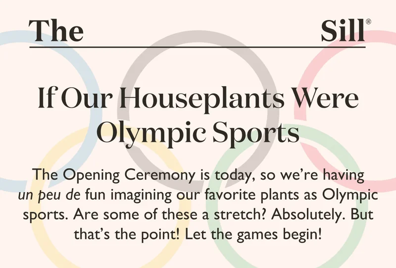 If Our Houseplants Were Olympic Sports