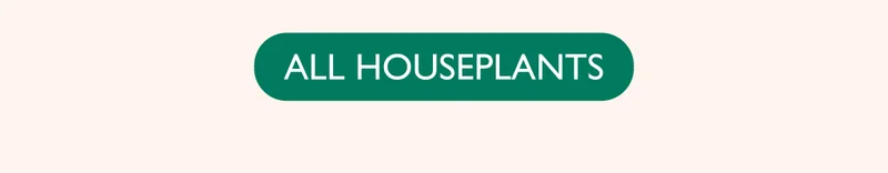 Shop All Houseplants