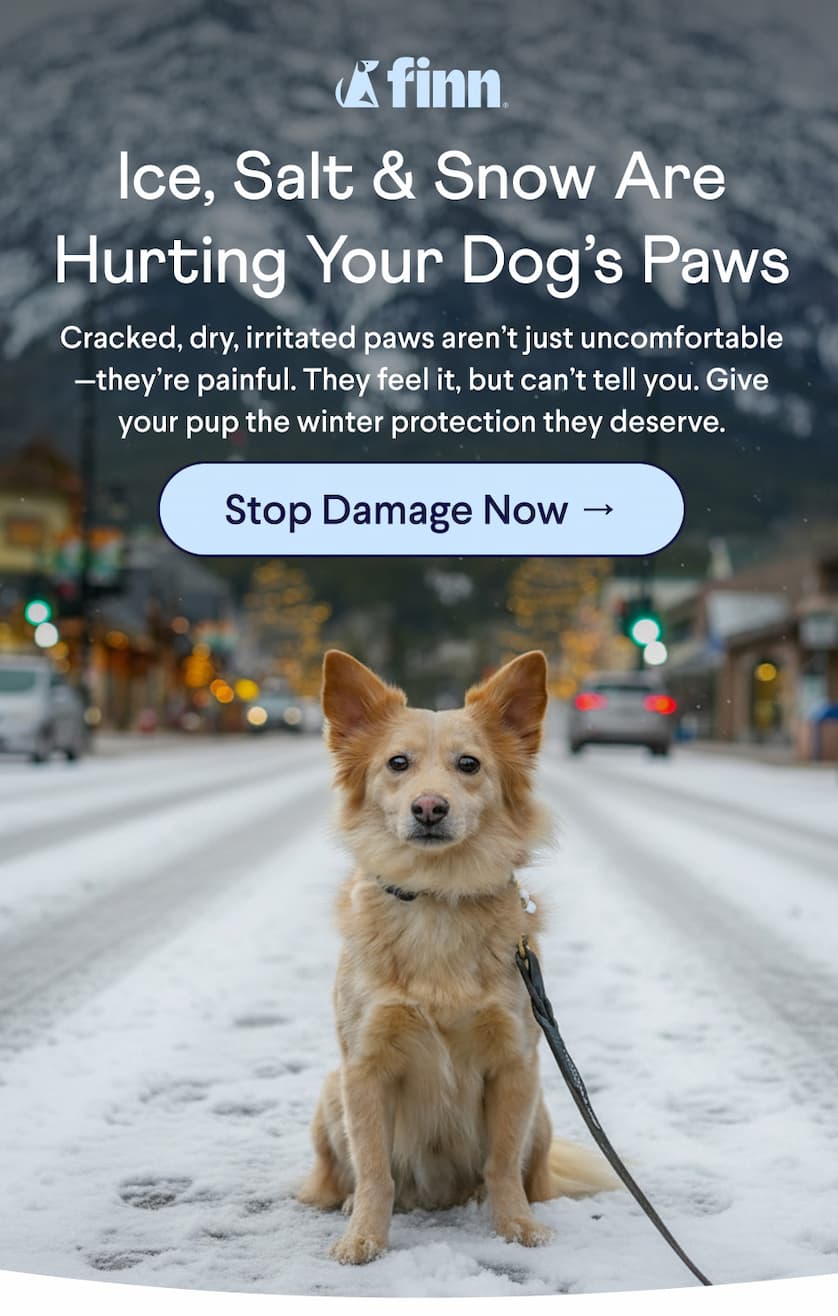 Finn logo. Text: Ice, Salt & Snow Are Hurting Your Dog’s Paws Cracked, dry, irritated paws aren’t just uncomfortable—they’re painful. They feel it, but can’t tell you. Give your pup the winter protection they deserve.  CTA: Stop Damage Now →