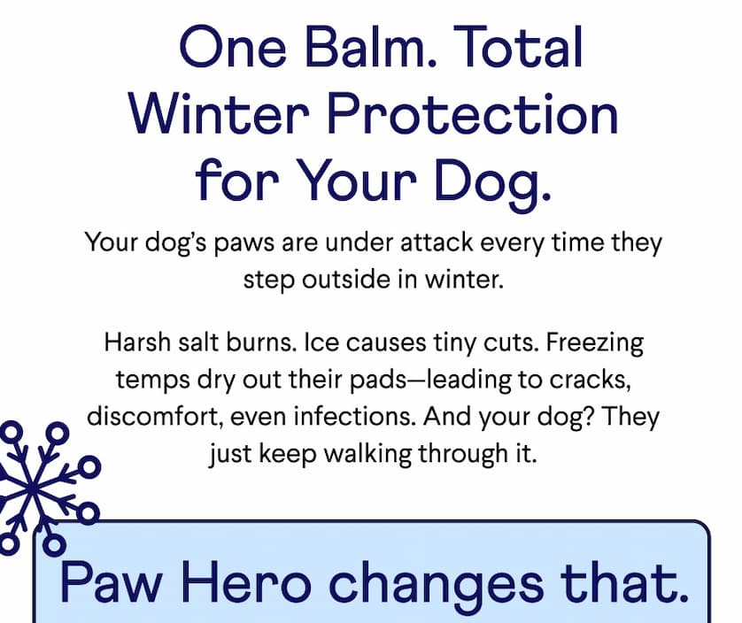 Text: &nbsp;One Balm. Total Winter Protection for Your Dog. Your dog’s paws are under attack every time they step outside in winter.  Harsh salt burns. Ice causes tiny cuts. Freezing temps dry out their pads—leading to cracks, discomfort, even infections. And your dog? They just keep walking through it. Paw Hero changes that.