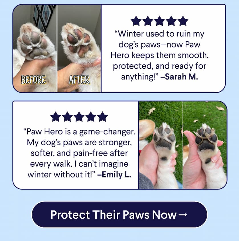 5 Star Customer Reviews: “Winter used to ruin my dog’s paws—now Paw Hero keeps them smooth, protected, and ready for anything!” –Sarah M. & “Paw Hero is a game-changer. My dog’s paws are stronger, softer, and pain-free after every walk. I can’t imagine winter without it!” –Emily L. CTA: Protect Their Paws Now –>
