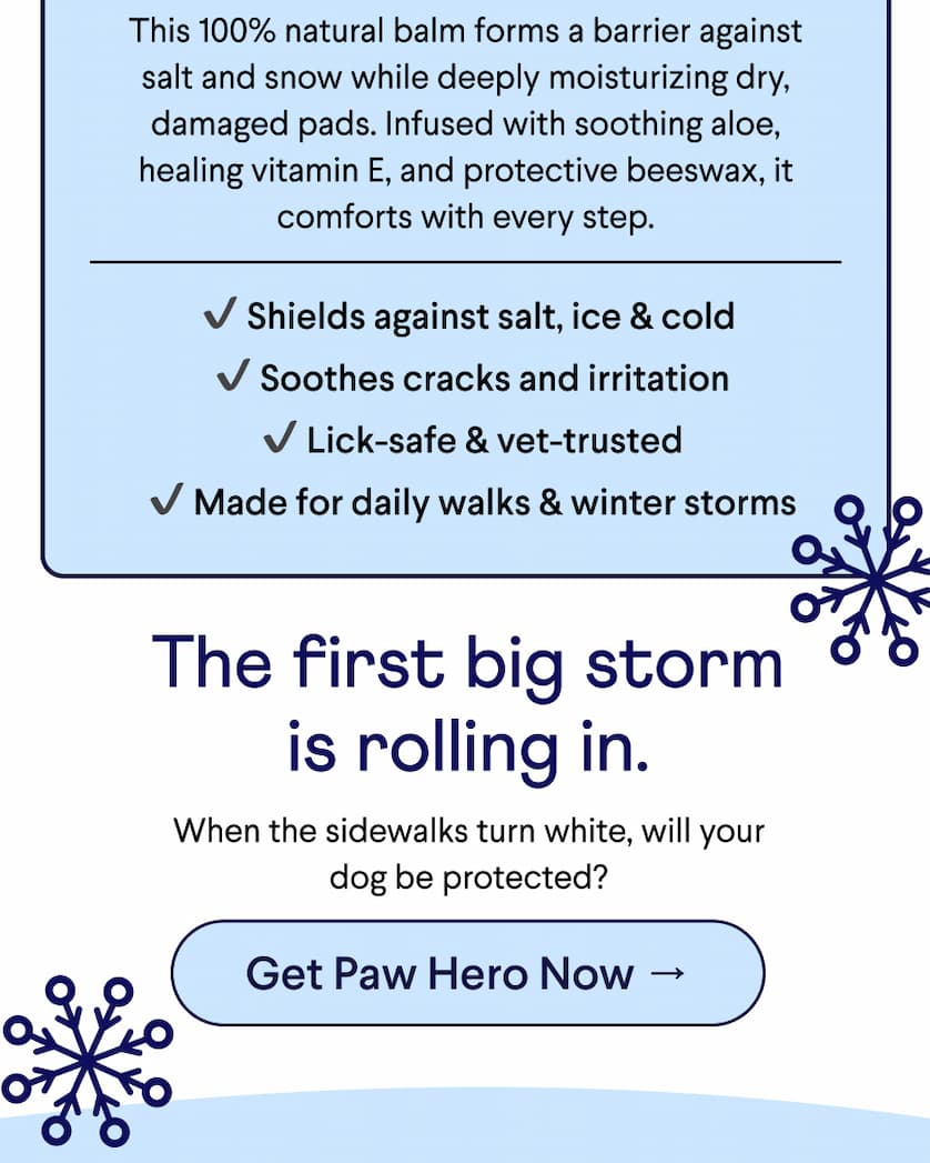 Text: This 100% natural balm forms a barrier against salt and snow while deeply moisturizing dry, damaged pads. Infused with soothing aloe, healing vitamin E, and protective beeswax, it comforts with every step. ✔ Shields against salt, ice & cold  ✔ Soothes cracks and irritation  ✔ Lick-safe & vet-trusted  ✔ Made for daily walks & winter storms The first big storm is rolling in.  When the sidewalks turn white, will your dog be protected?  CTA: Get Paw Hero Now →