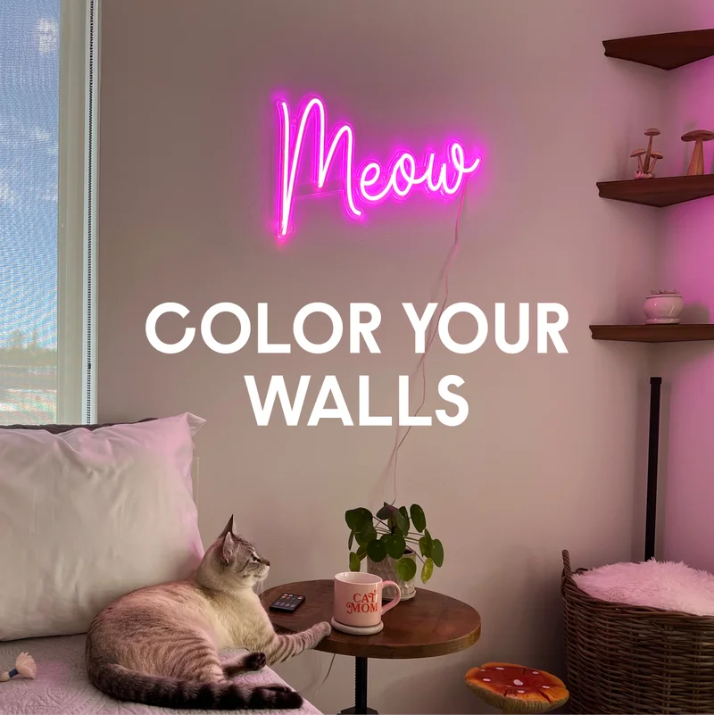 Color Your Walls