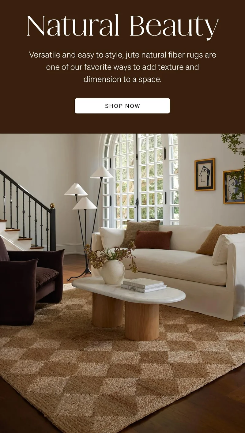 Shop Jute Rugs