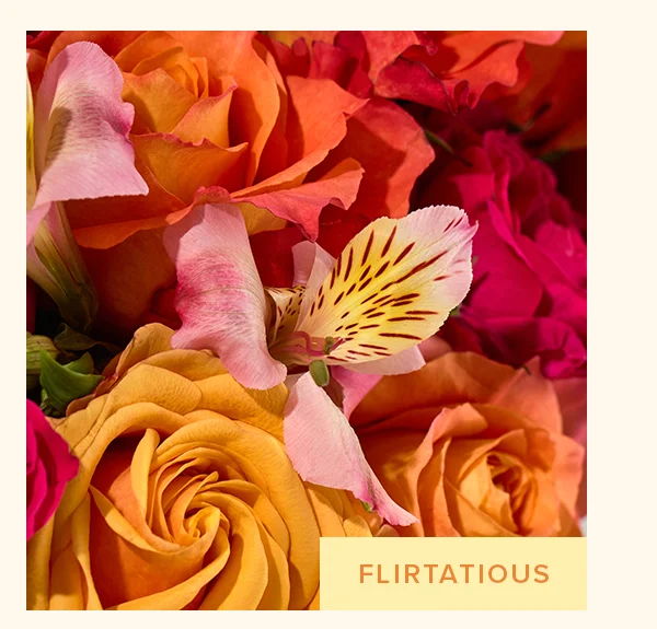FEATURED BOUQ: FLIRTATIOUS FEATURED BOUQ: FLIRTATIOUS