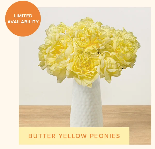 FEATURED BOUQ: BUTTER YELLOW PEONIES FEATURED BOUQ: BUTTER YELLOW PEONIES