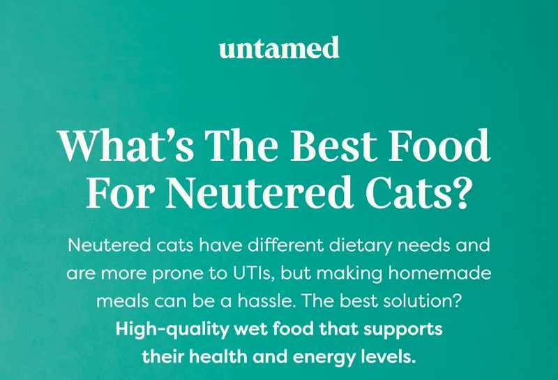 What’s the best food for neutered cats? Neutered cats have different dietary needs and are more prone to UTIs, but making homemade meals can be a hassle. The best solution? High-quality wet food that supports their health and energy levels.
