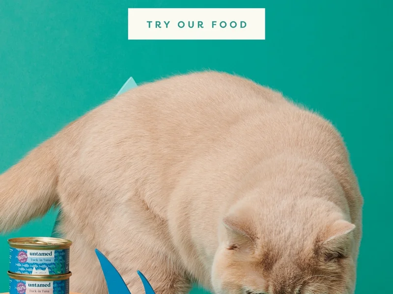Try our food