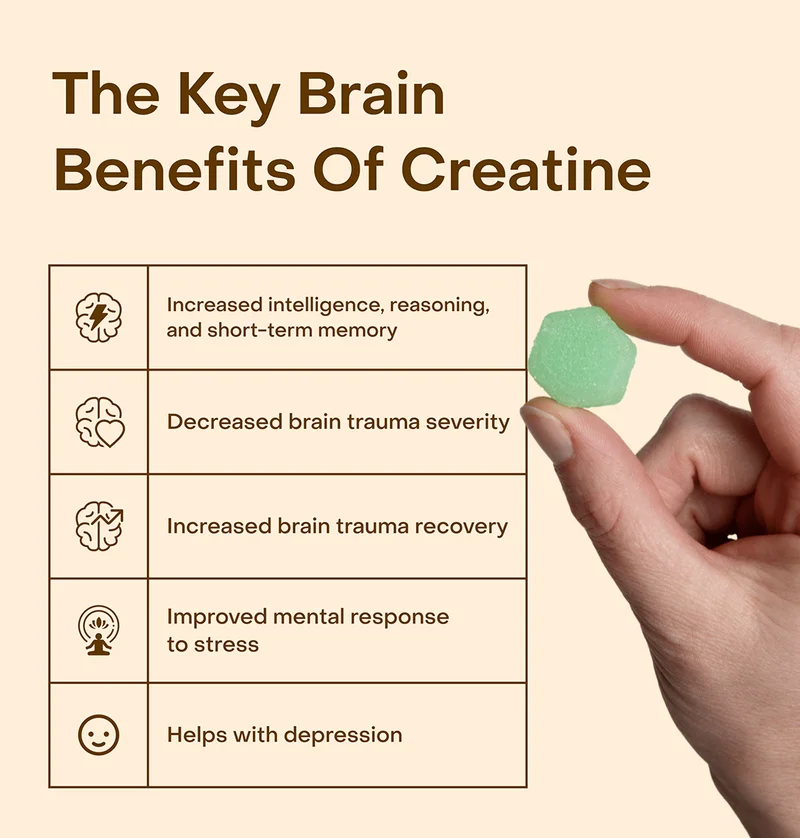 The key brain benefits of Creatine: