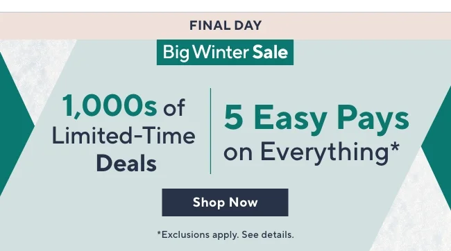 Big Winter Sale
