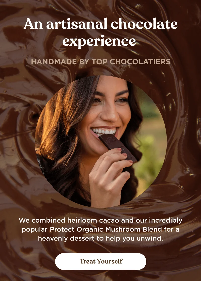 An artisanal chocolate experience&nbsp;| Handmade by top chocolatiers | We combined heirloom cacao and our incredibly popular Protect Organic Mushroom Blend for a heavenly dessert to help you unwind. | Treat Yourself