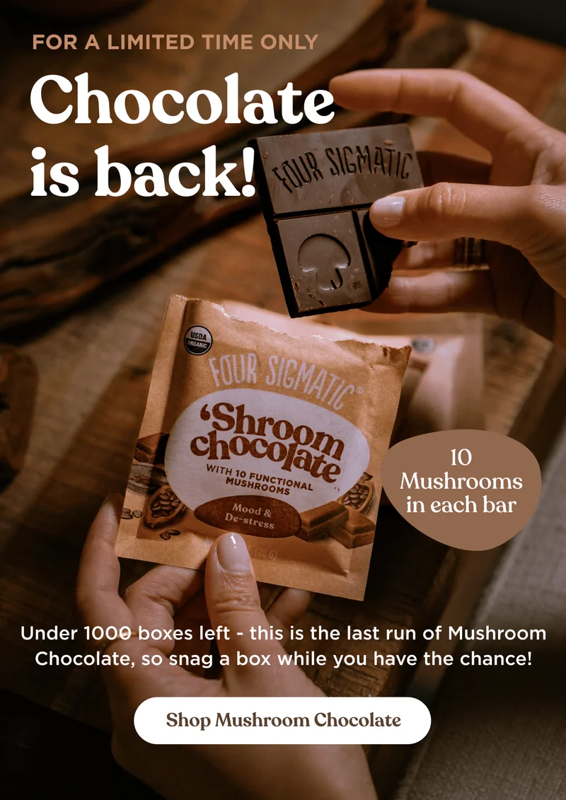 For a limited time only&nbsp;| Chocolate is back! | 10 Mushrooms in each bar | Under 1000 boxes left - this is the last run of Mushroom Chocolate, so snag a box while you have the chance! | Shop Mushroom Chocolate