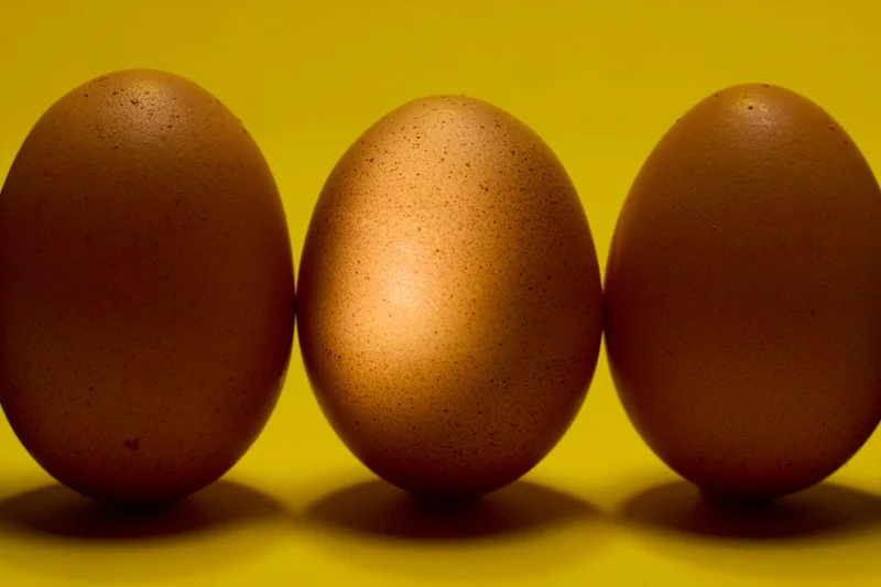 An egg's yolk and white cook best at different temperatures, but by devising a system with water bowls of two different temperatures, scientists developed a way to cook both perfectly.
