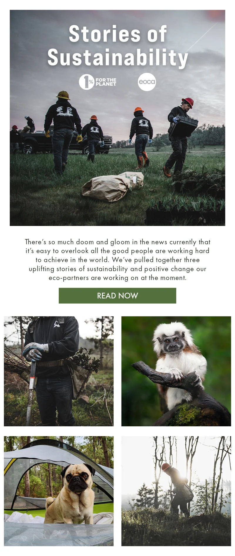 Stories of Sustainability