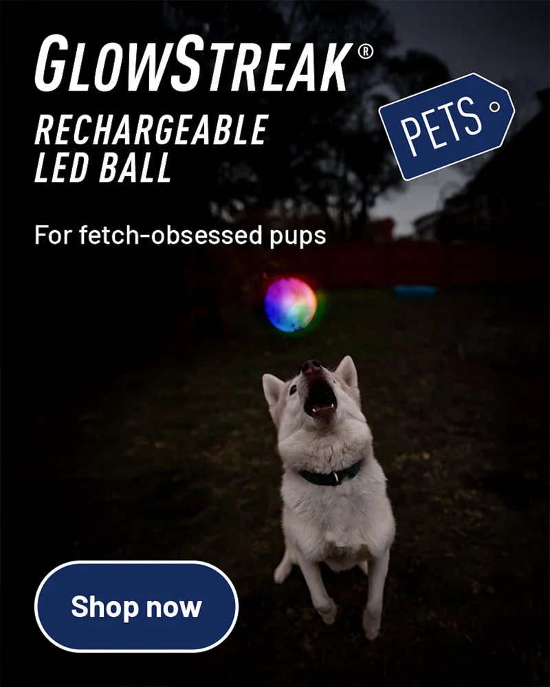 GlowStreak® Rechargeable LED Ball