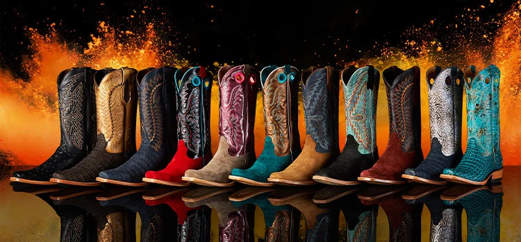 Get to Know the Futurity Collection