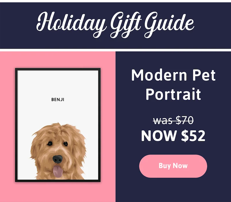 Modern Pet Portrait. Was $70. Now $52. Save $18! Buy Now.