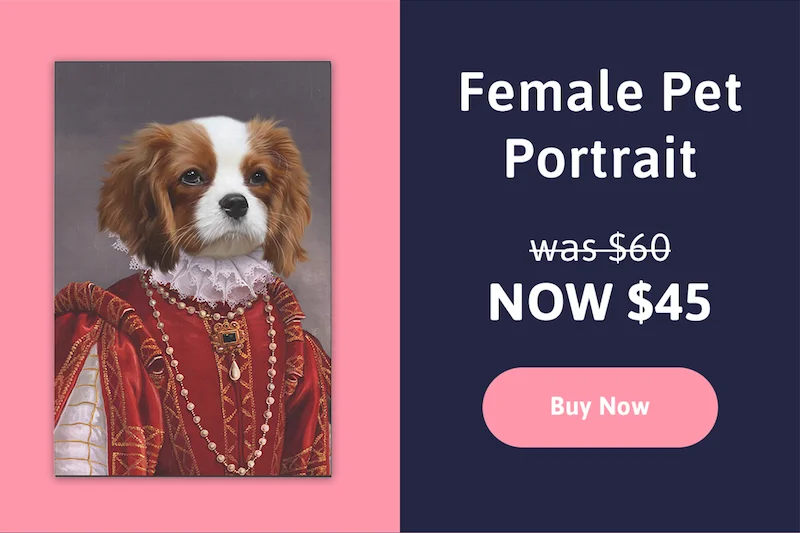 Custom Female Pet Canvas. Was $60. Now $45. Save $15! Buy Now.