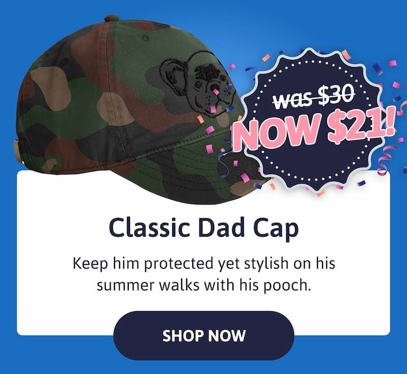 Classic Dad Cap. Keep him protected yet stylish on his summer walks with his pooch.