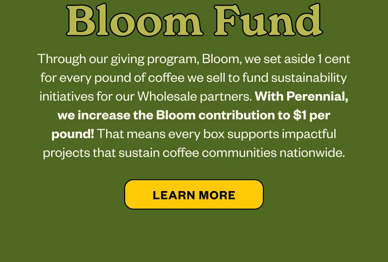 Through our giving program, Bloom, we set aside 1 cent for every pound of coffee we sell to fund sustainability initiatives in cafés. With Perennial, we increase the Bloom contribution to $1 per pound! That means every box supports impactful projects that sustain coffee communities nationwide.