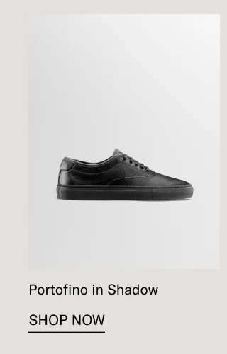 Portofino in Shadow