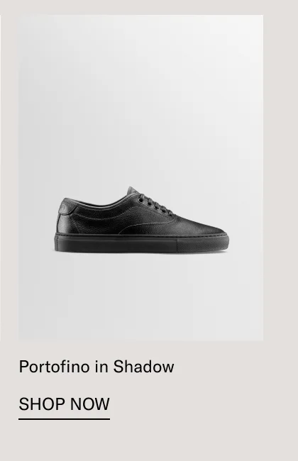 Portofino in Shadow