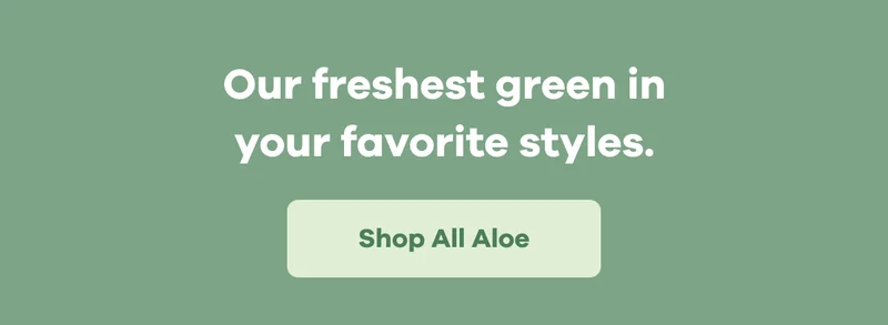 Our freshest green in your favorite styles. | Shop All Aloe