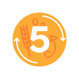 An icon representing the 5 auto-cook programs.