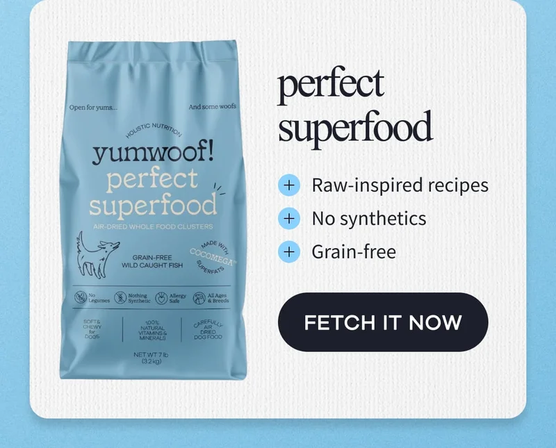perfect superfood | Raw-inspired recipes | No synthetics | Grain-free | FETCH IT NOW
