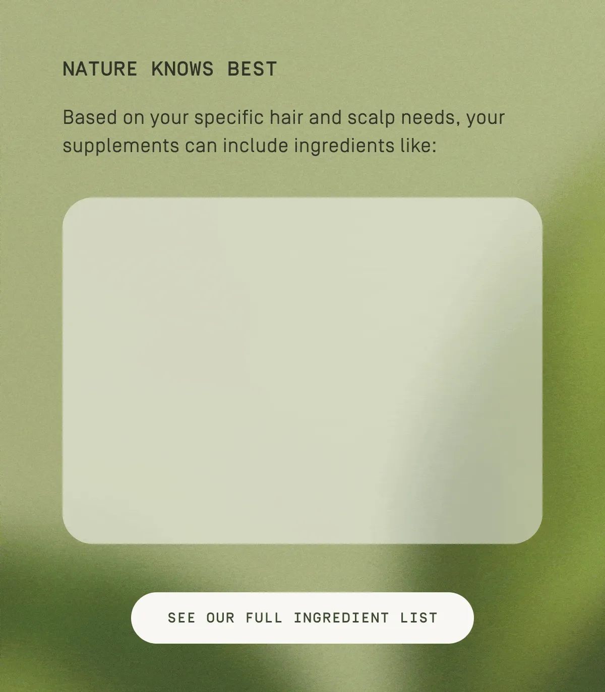 See our full ingredientes list