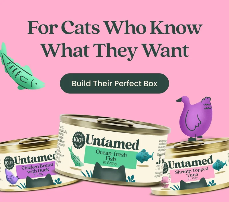 Build their perfect box