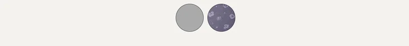 Heather Grey and Flora
