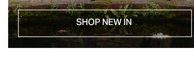 Dark water reflecting green moss and ferns on ancient stone walls. Shop our new arrivals and latest collection.