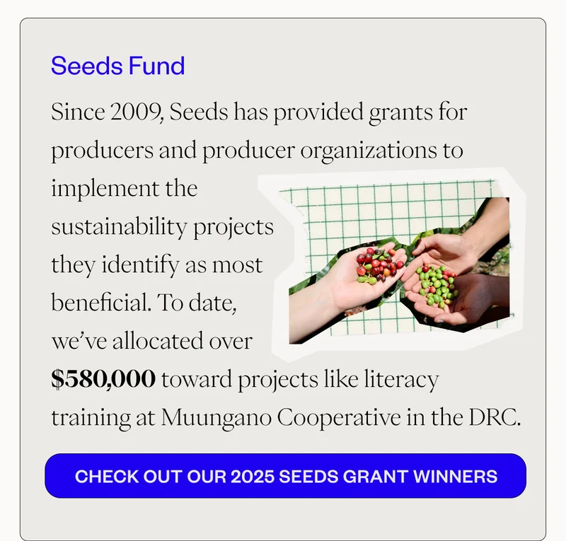 Seeds FundSince 2009, Seeds has provided grants for producers and producer organizations to implement the sustainability projects they identify as most beneficial. To date, we’ve allocated over $580,000 toward projects like literacy training at Muungano Cooperative in the DRC. CTA: Check out our 2025 Seeds Grant Winners Seeds FundSince 2009, Seeds has provided grants for producers and producer organizations to implement the sustainability projects they identify as most beneficial. To date, we’ve allocated over $580,000 toward projects like literacy training at Muungano Cooperative in the DRC. CTA: Check out our 2025 Seeds Grant Winners