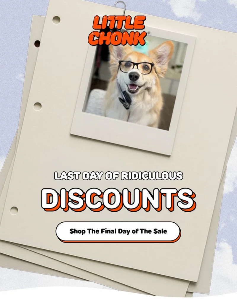 Shop The Final Day of The Sale