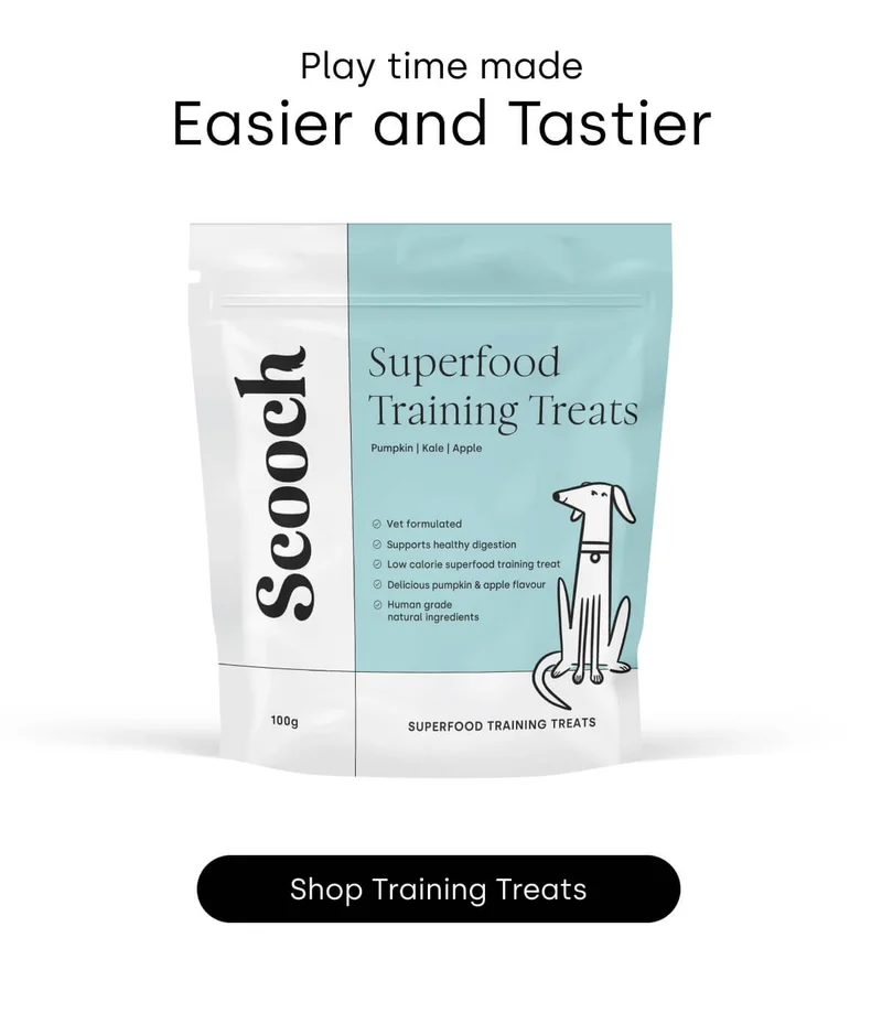 Shop Superfood Training Treats