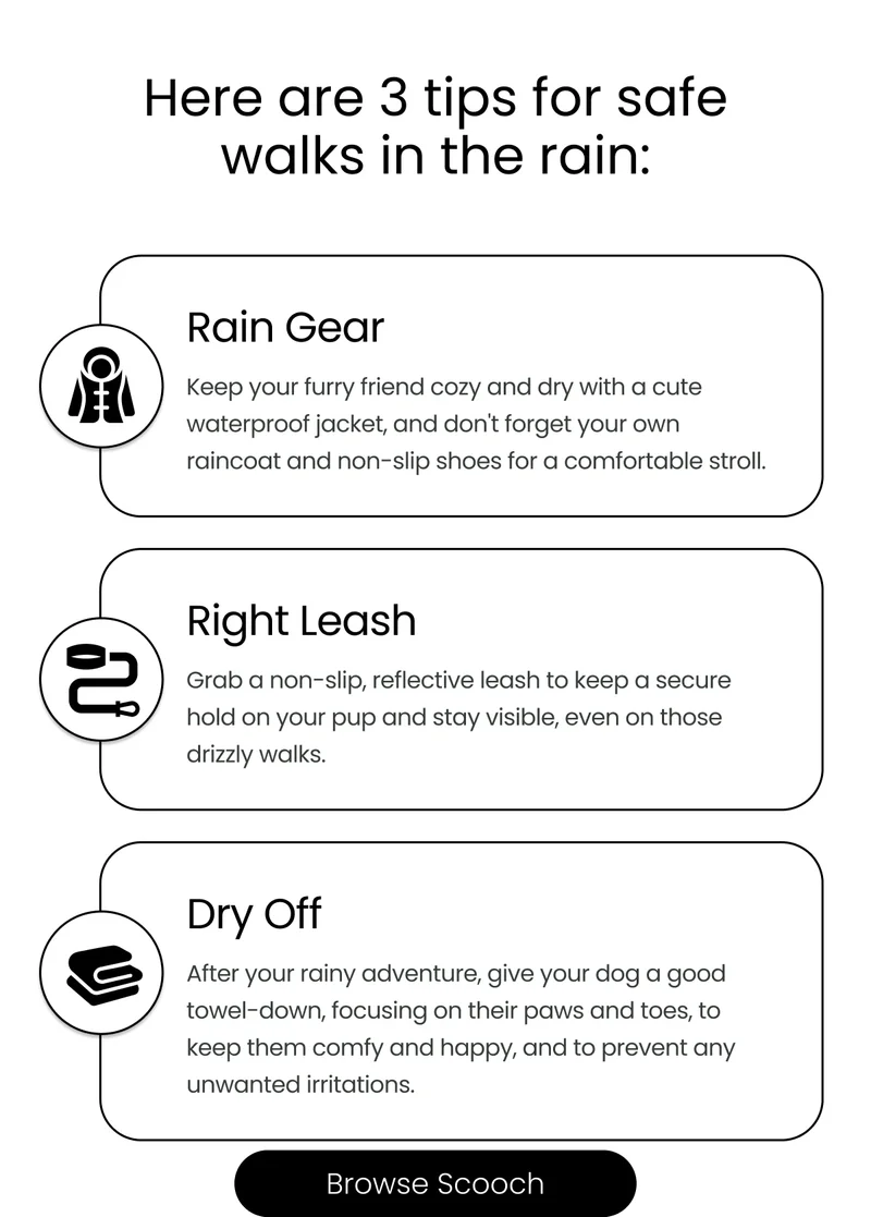 Rain Gear, Right Leash, Dry Off - Browse Scooch