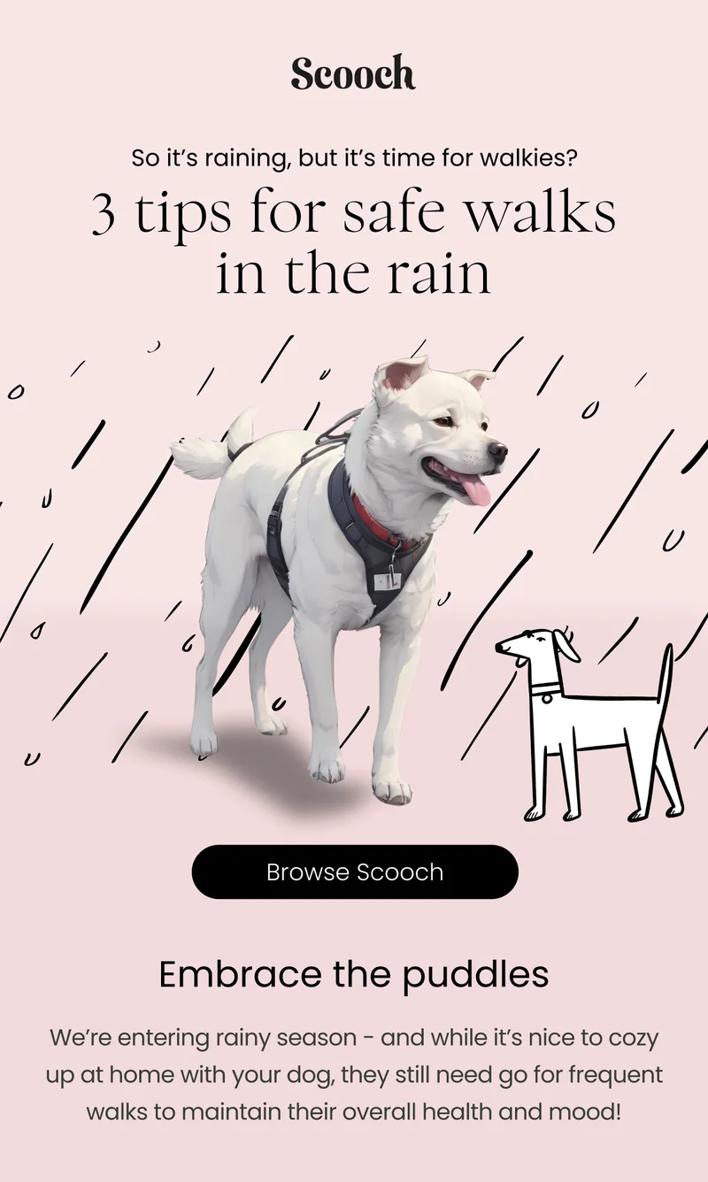3 tips for safe walks in the rain - Browse Scooch