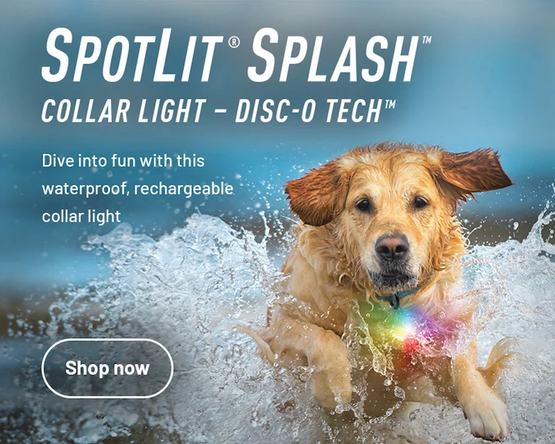 SpotLit® Splash™ Waterproof Rechargeable Collar Light – Disc-O Tech™