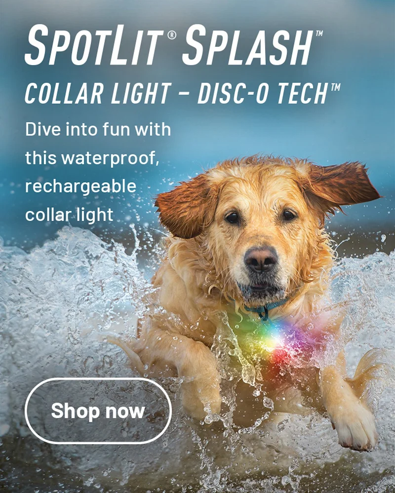 SpotLit® Splash™ Waterproof Rechargeable Collar Light – Disc-O Tech™